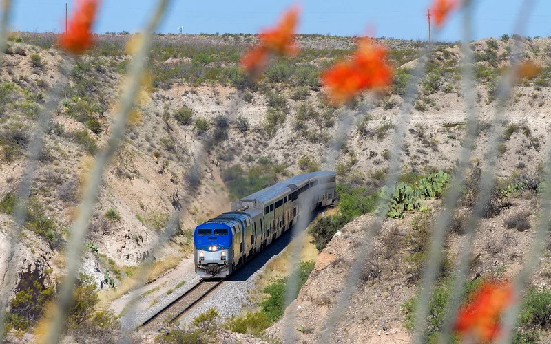 A passenger train rolls through the unforgiving desert landscape as seen through some beautiful blooming Ocotillo cactuses.