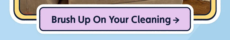 Brush Up On Your Cleaning