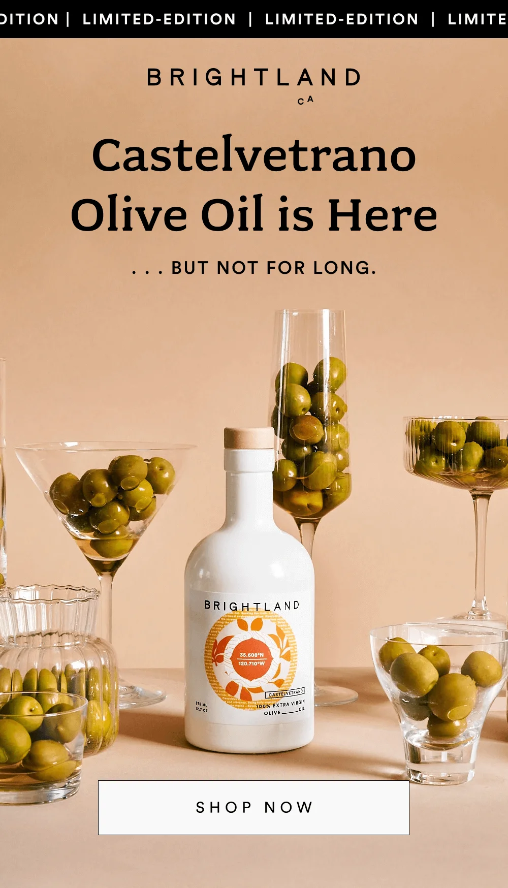 CASTELVETRANO Olive Oil is Here [ SHOP NOW ]