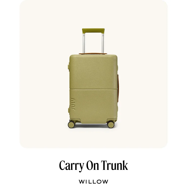 Carry On Trunk