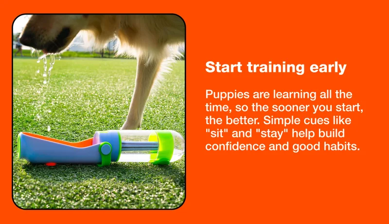 Start training early
