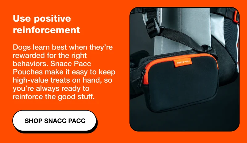 Use positive reinforcement