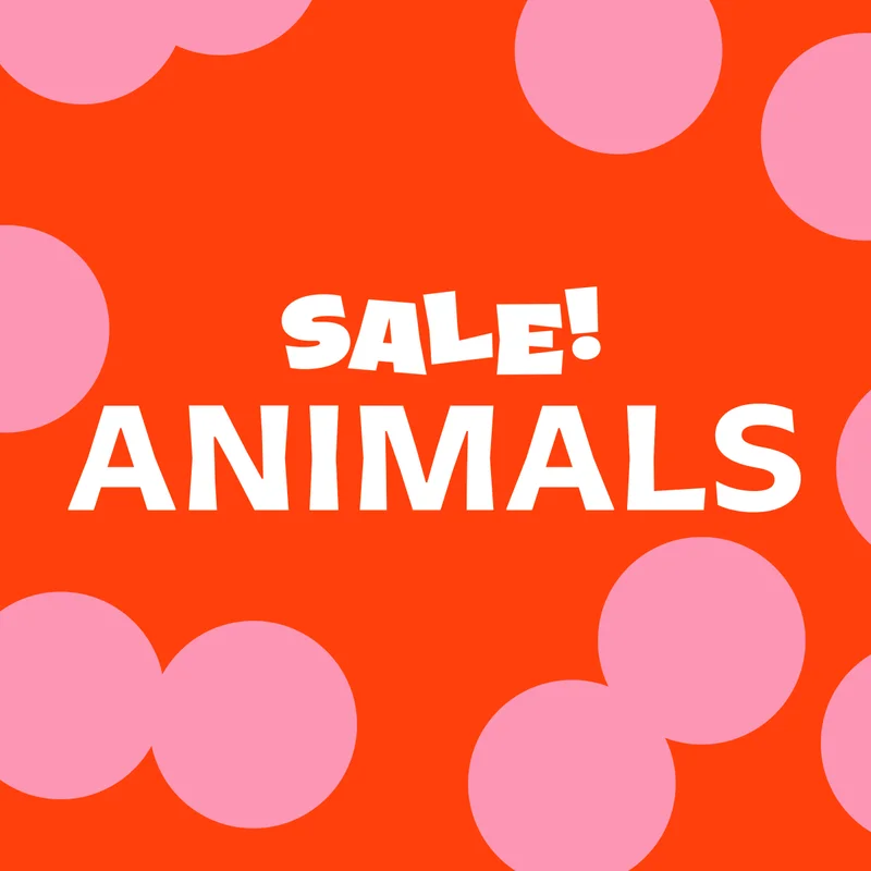 Animals