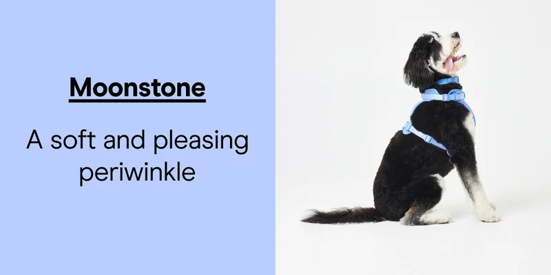 Moonstone. A soft and pleasing periwinkle