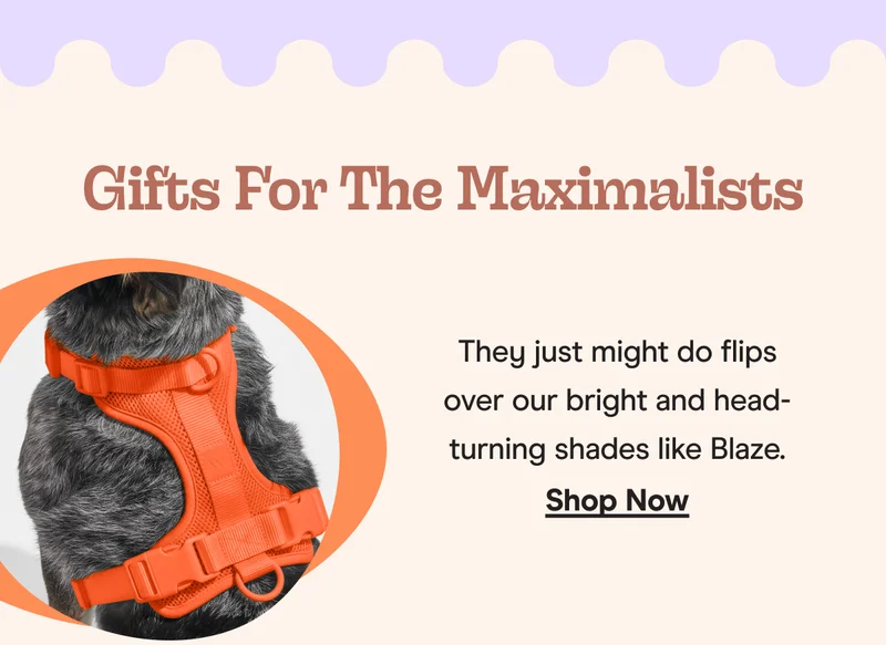 blaze walk kit