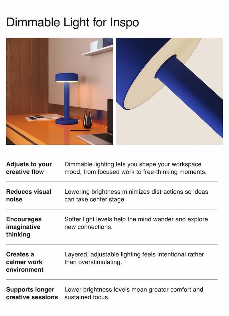 Dimmable Light for Inspo
