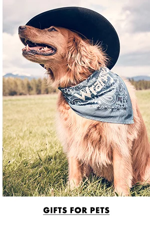 Gifts for Pets