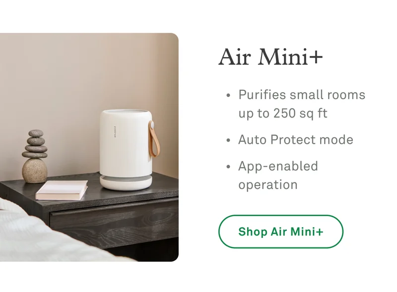 Air Mini+