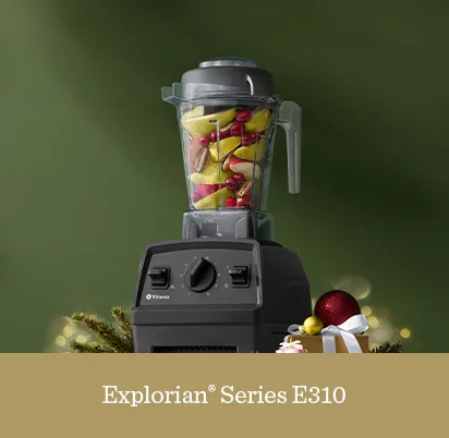 Explorian Series E310