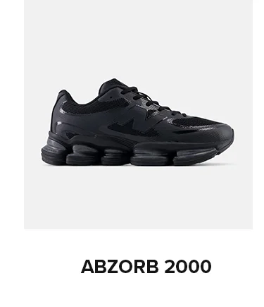 ABZORB 2000