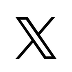 X Icon