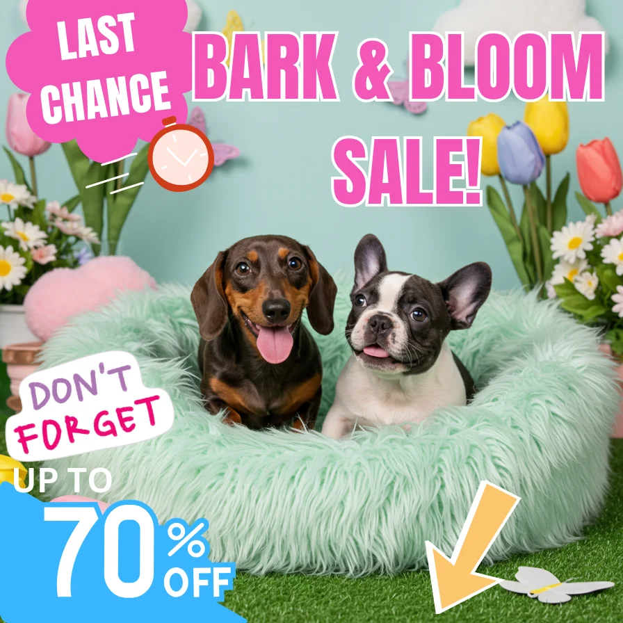 Dog happy products Dog happy products