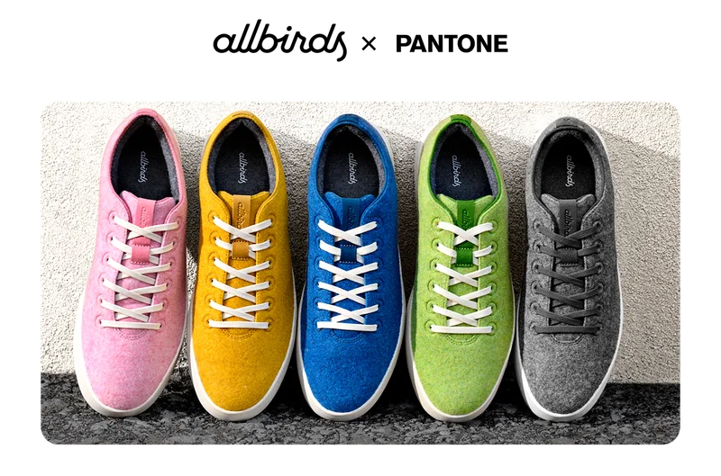 The Wool Cruiser Collection
