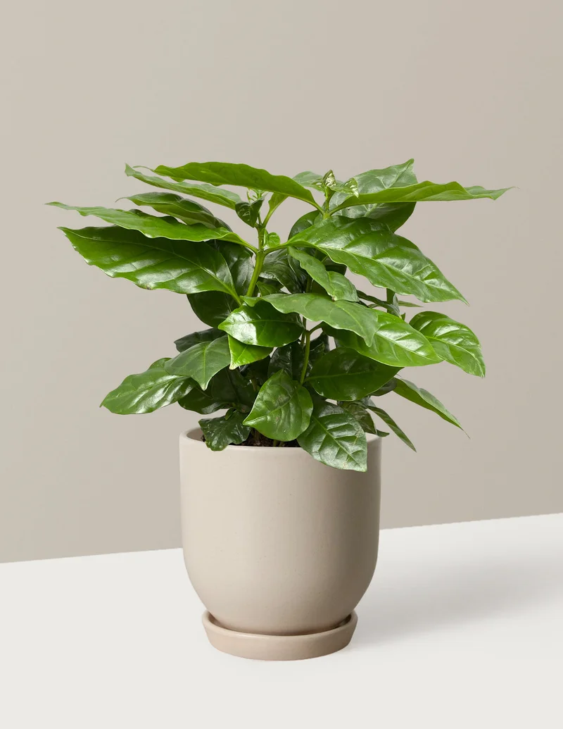 Image of Up to 30% off