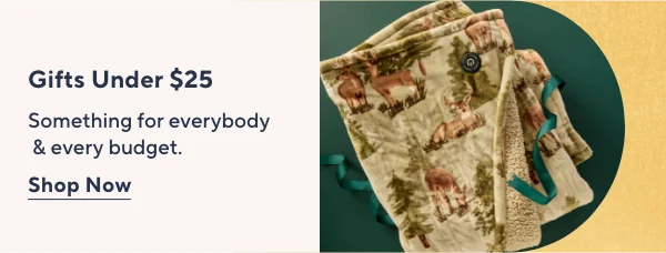 Budget finds