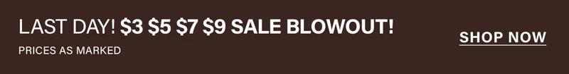 Dark banner announces "LAST DAY! $3 $5 $7 $9 SALE BLOWOUT! PRICES AS MARKED." Shop now for incredible last chance discounts.