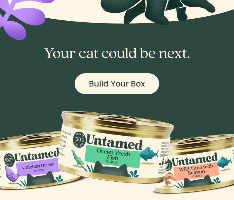 Build Your Box