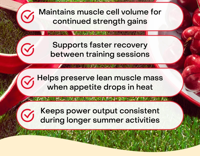 → Maintains muscle cell volume for continued strength gains  → Supports faster recovery between training sessions  → Helps preserve lean muscle mass when appetite drops in heat  → Keeps power output consistent during longer summer activities
