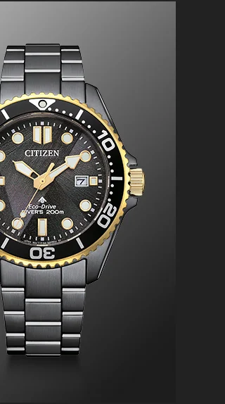 Promaster Dive LIGHT in BLACK  -  BN0264-53E