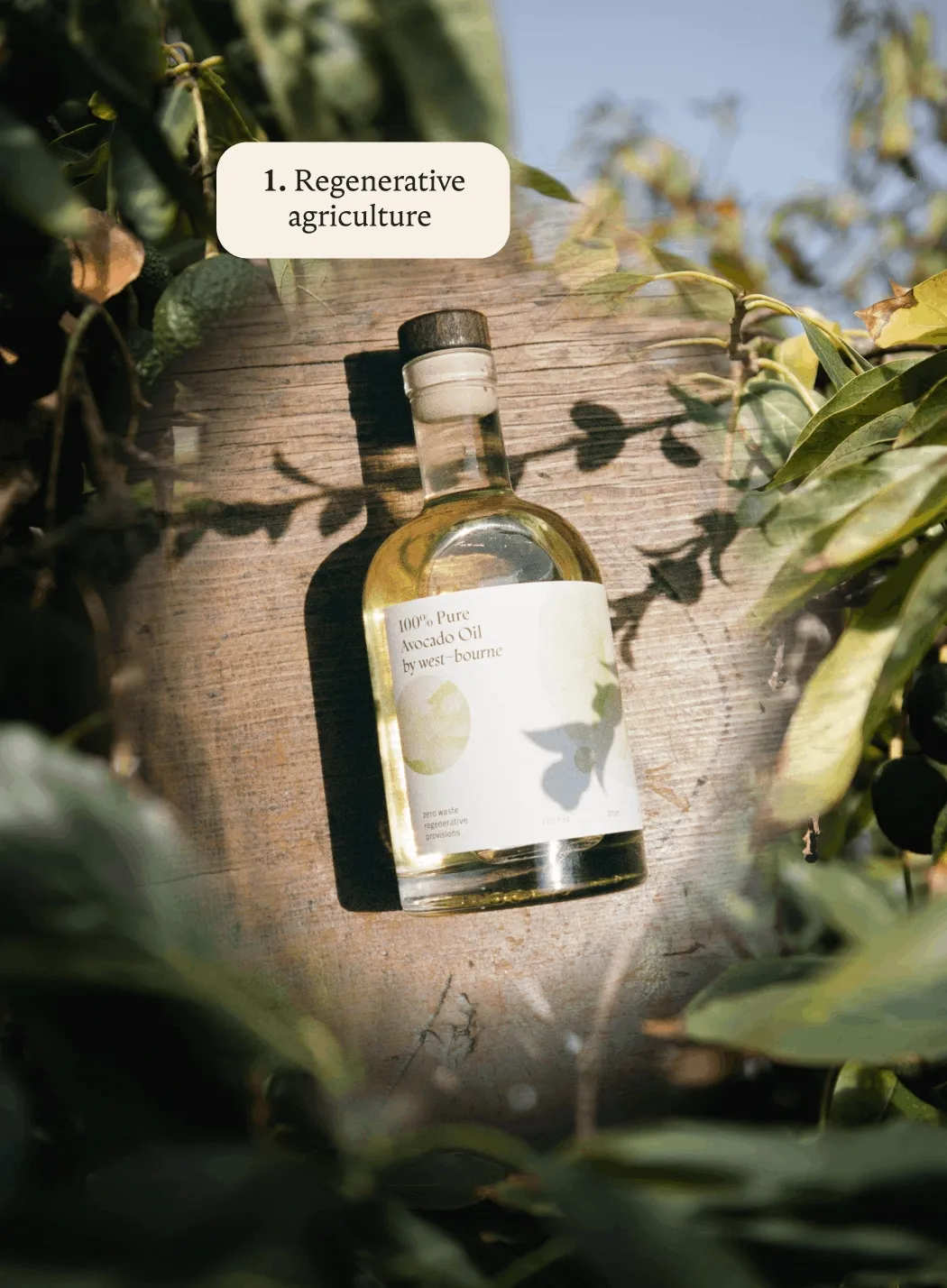 1. Regenerative agriculture  2. Compostable packaging  3. Carbon neutral from seed to shelf  4. Chef crafted for performance and flavor 5. 100% pure and always fresh