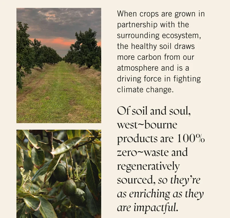 When crops are grown in partnership with the surrounding ecosystem, the healthy soil draws more carbon from our atmosphere and is a driving force in fighting climate change.  Of soil and soul, west~bourne products are 100% zero~waste and regeneratively sourced, so they’re as enriching as they are impactful.