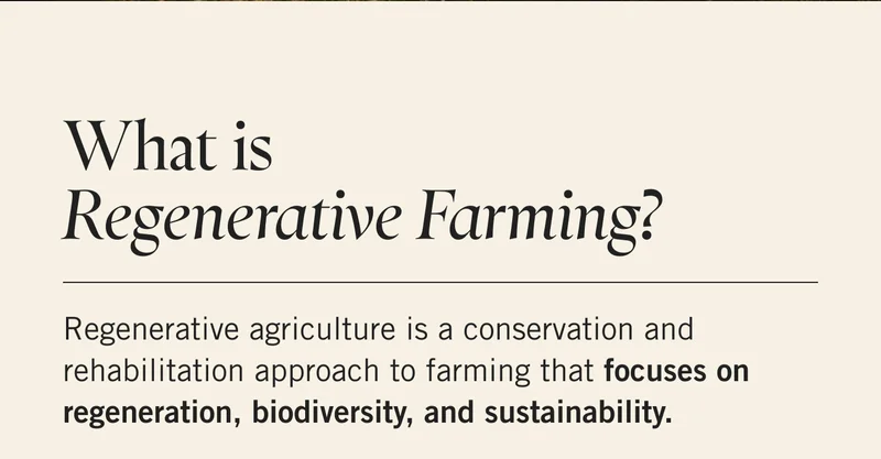 What is Regenerative Farming? Regenerative agriculture is a conservation and rehabilitation approach to farming that focuses on regeneration, biodiversity, and sustainability.