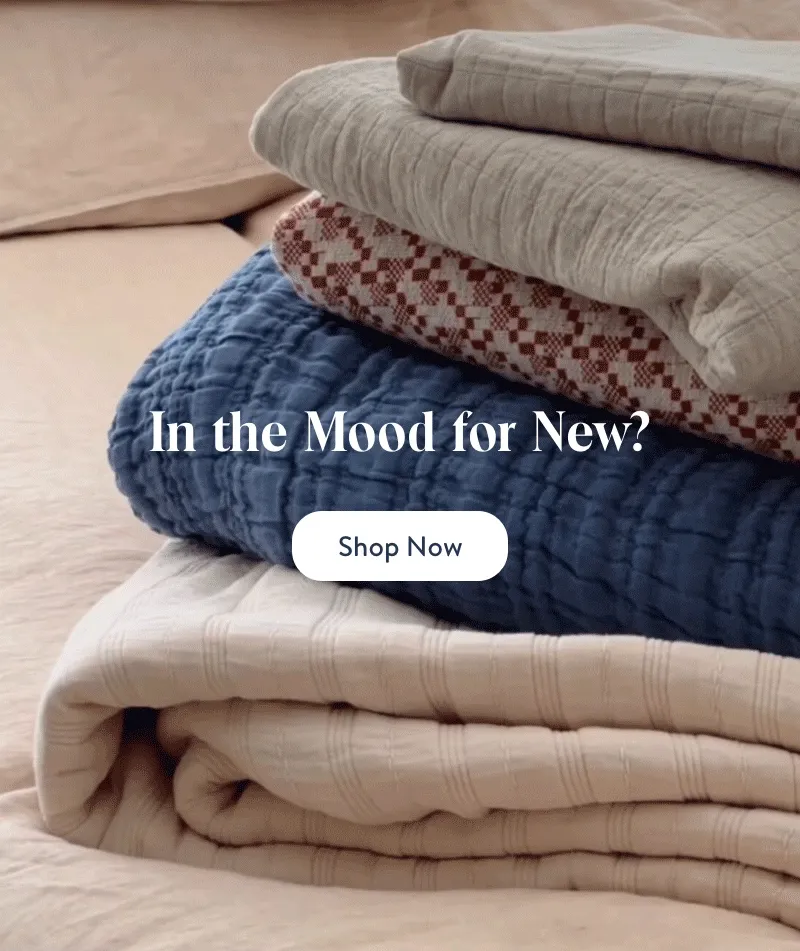 In the Mood for New?