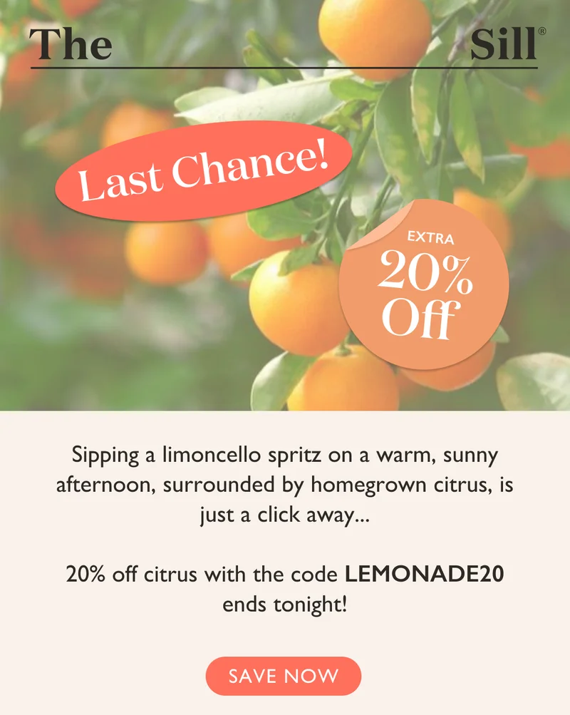 20% Off Citrus Ends Tonight!