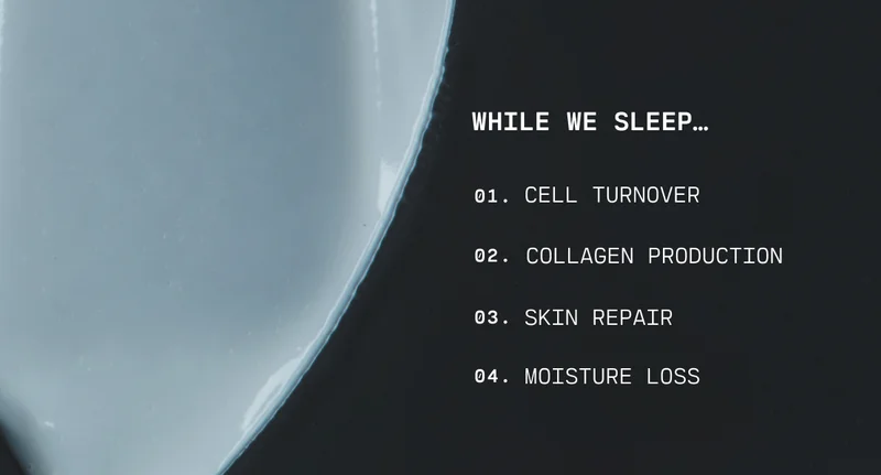 WhileWeSleep_Edu