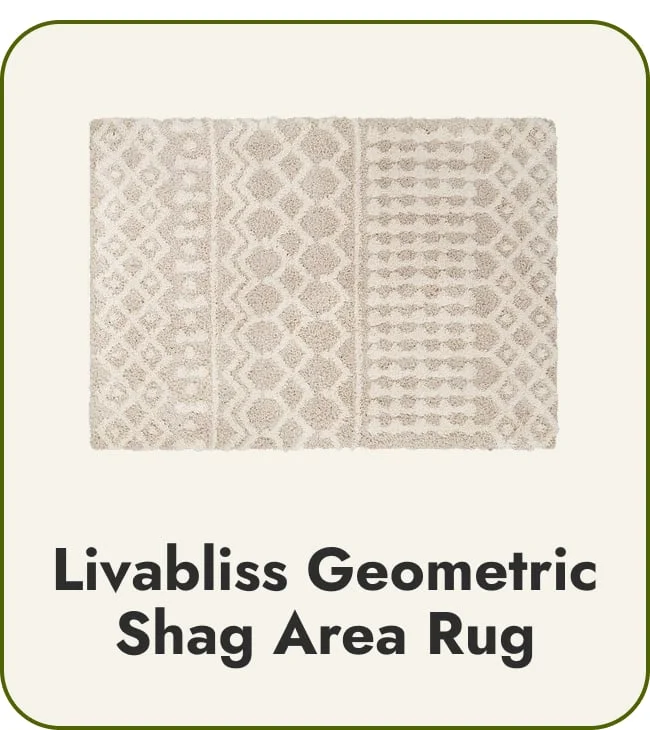 Livabliss Newton Geometric Moroccan Trellis Shag Area Rug