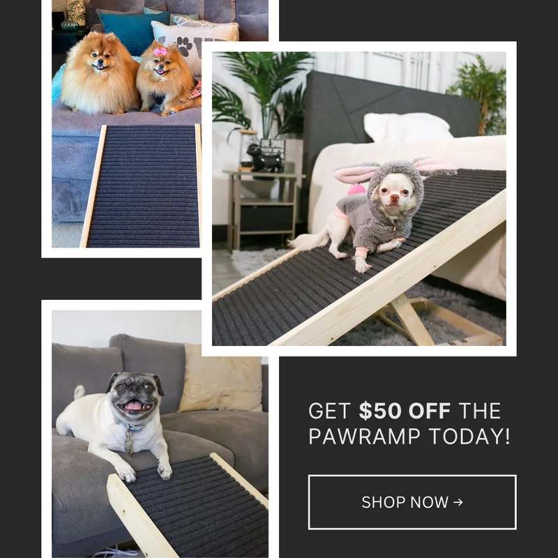PawRamp Sale