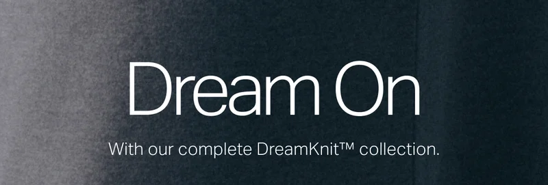Dream On