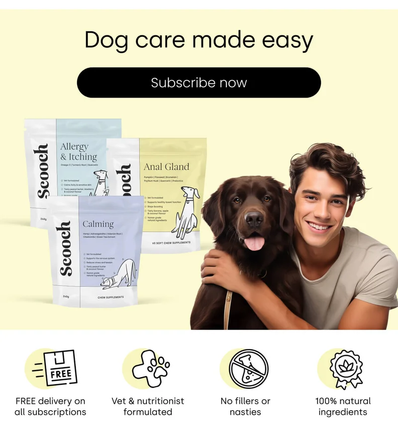 Dog care made easy - Shop now