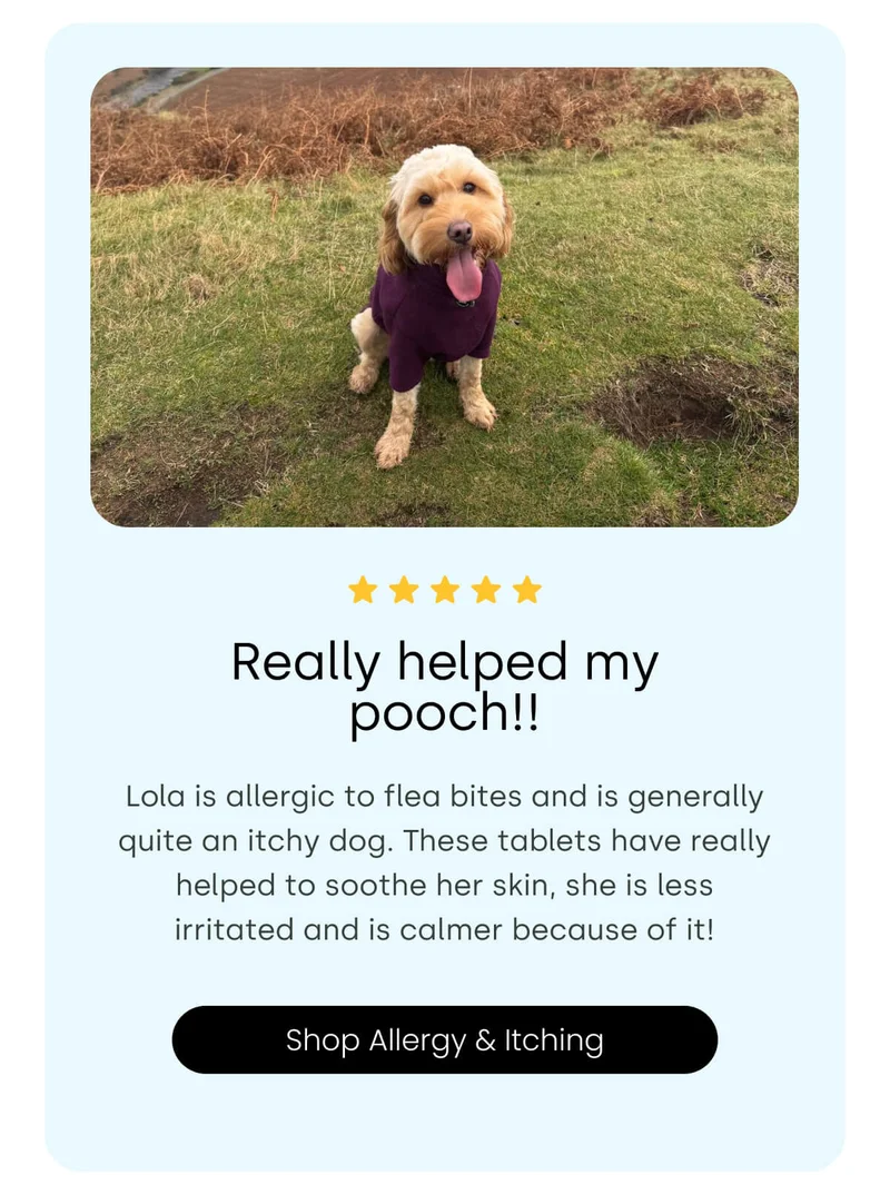 Shop Allergy & Itching