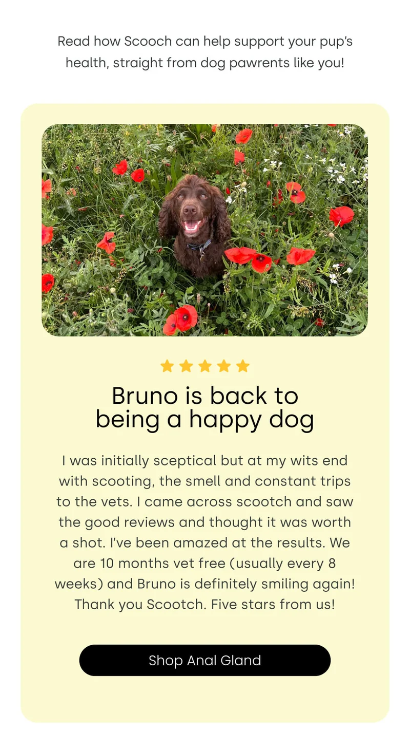 Read how Scooch can help support your pup’s health, straight from dog pawrents like you! - Shop Anal Gland