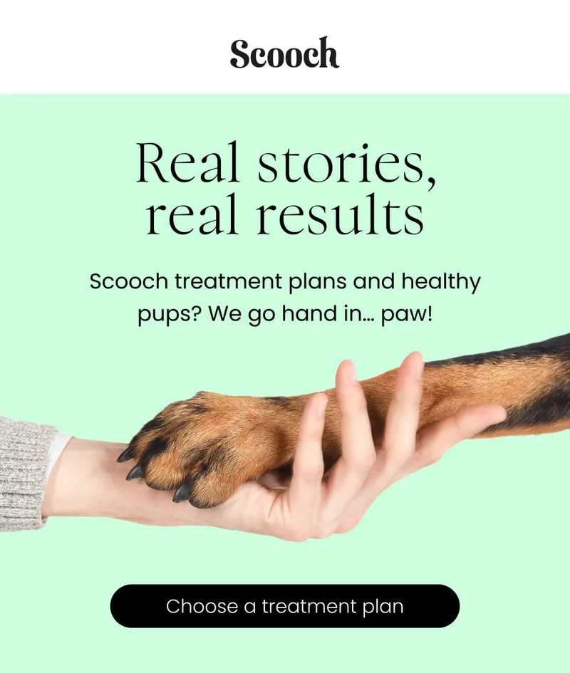Scooch treatment plans and healthy pups? We go hand in… paw! - Choose a treatment plan