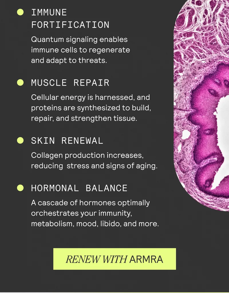 IMMUNE FORTIFICATION Quantum signaling enables immune cells to regenerate and adapt to threats. MUSCLE REPAIR Cellular energy is harnessed, and proteins are synthesized to build, repair, and strengthen tissue. SKIN RENEWAL Collagen production increases, reducing stress and signs of aging. HORMONAL BALANCE A cascade of hormones optimally orchestrates your immunity. metabolism, mood, libido, and more. RENEW WITH ARMRA