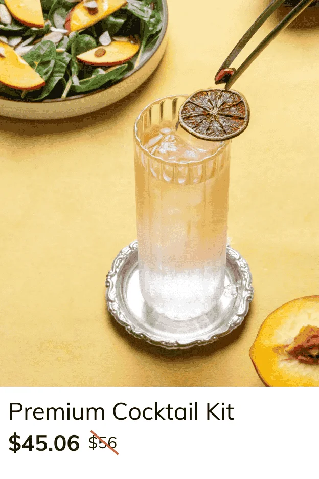 Shaker & Spoon Cocktail Kit