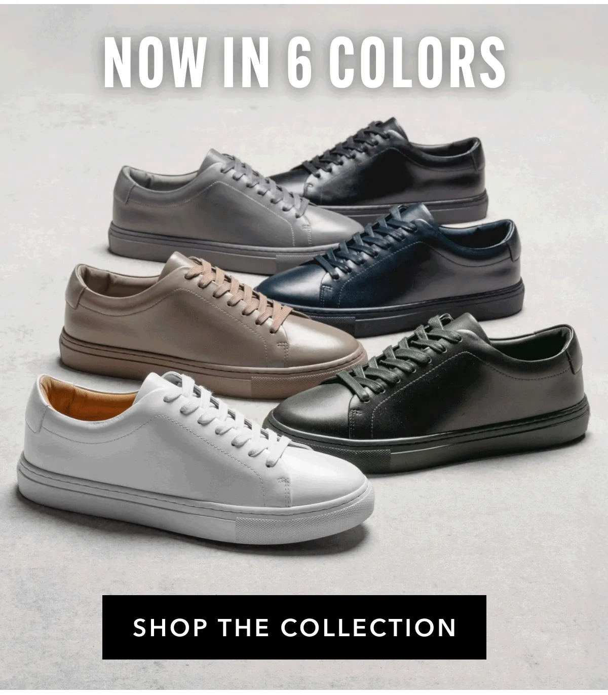 Now In 6 Colors