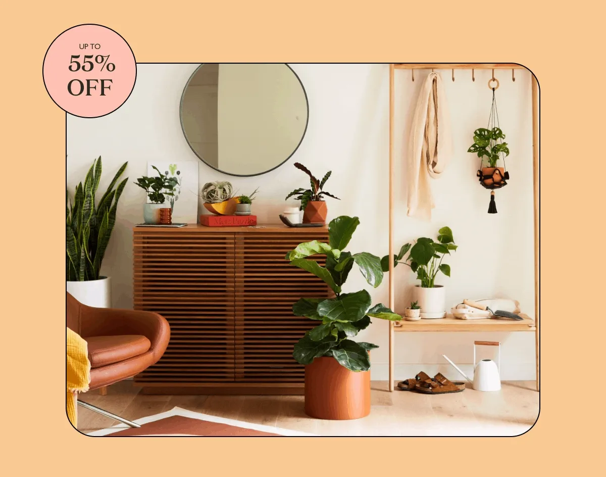 Shop Now!