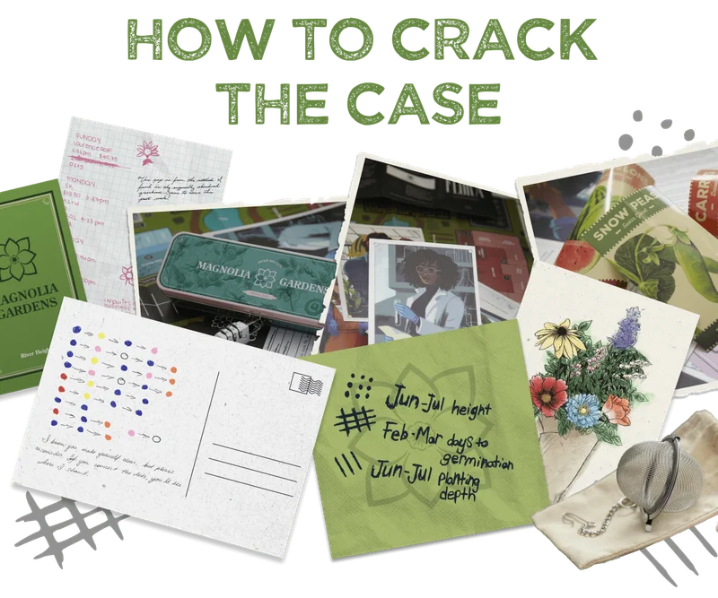 HOW TO CRACK THE CASE
