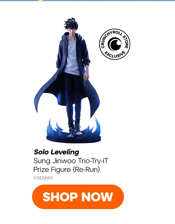 SHOP NOW SHOP NOW