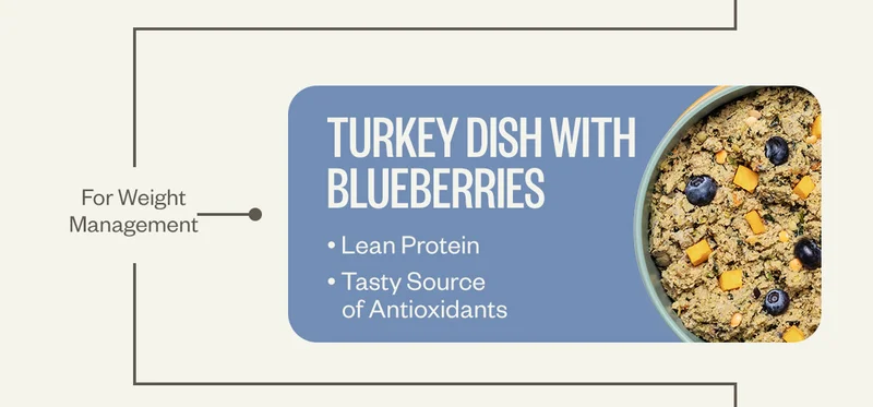 Turkey with blueberries