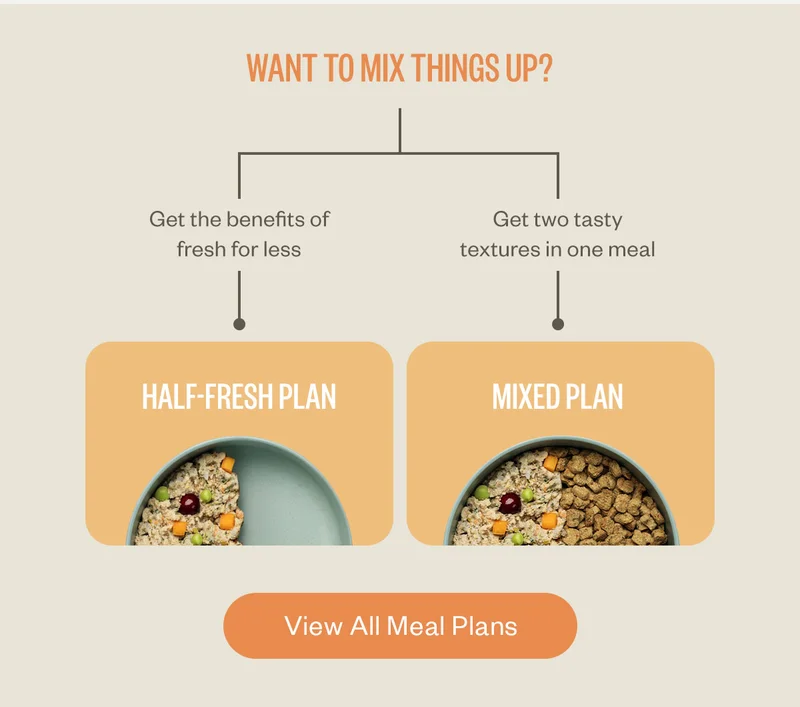Want to mix things up?