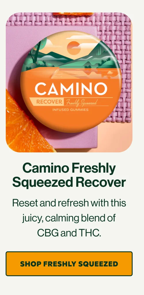 Camino Freshly Squeezed Recover