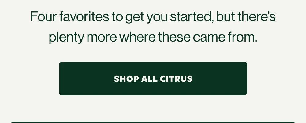 Four favorites to get you started