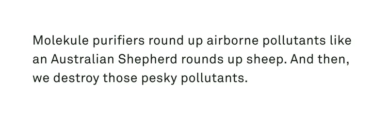 Molekule purifiers destroy pesky pollutants