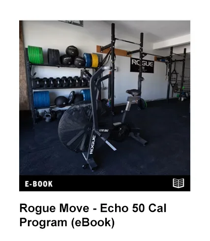 Rogue Move - Echo 50 Cal Program (eBook)