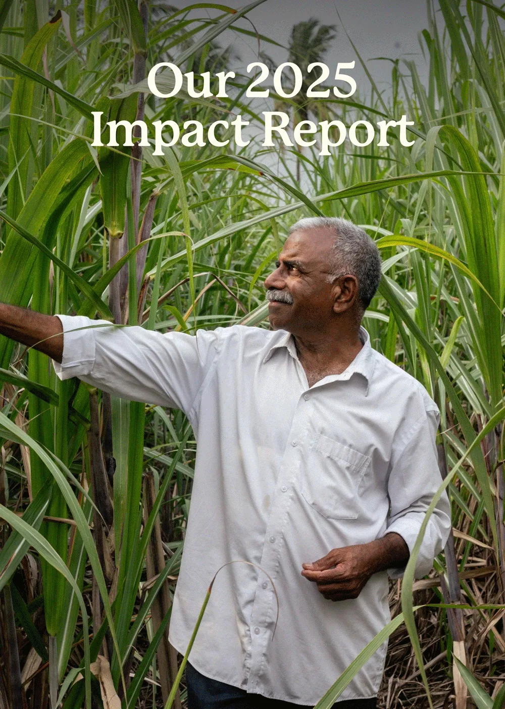 Our 2025 Impact Report