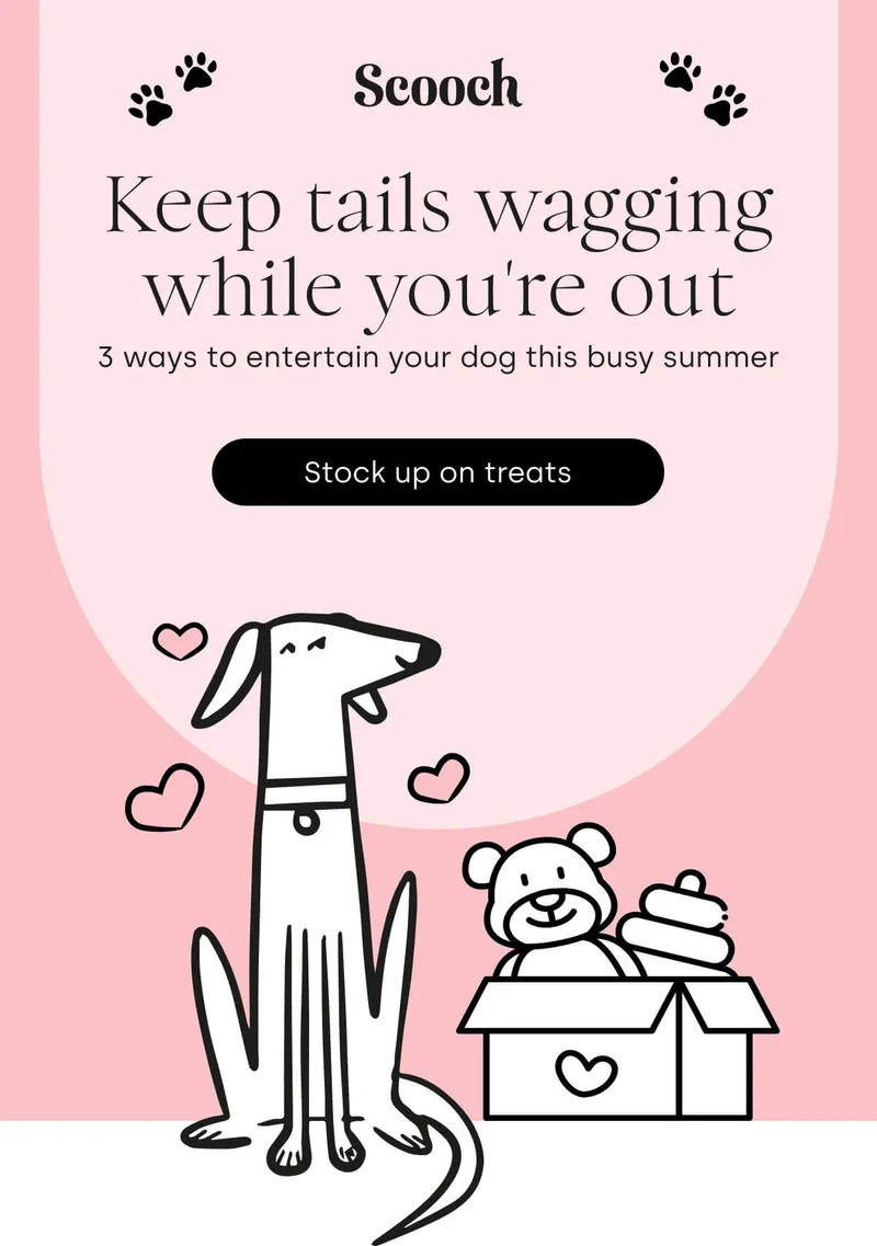 3 ways to entertain your dog this busy summer - Learn more